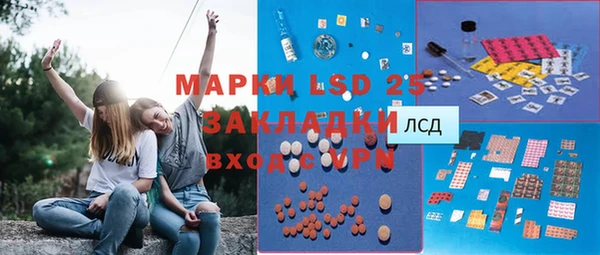 шишки Арсеньев