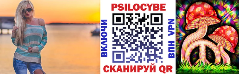 darknet клад  Бакал  Псилоцибиновые грибы GOLDEN TEACHER  цена наркотик 